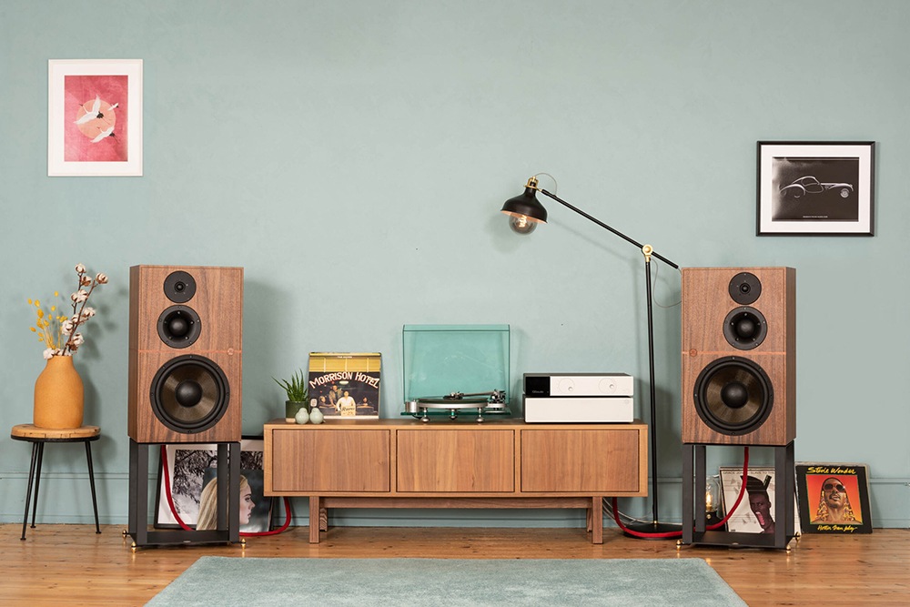 REVIVAL AUDIO - STAND5ʥڥATALANTE5ѥԡɡJPաڥ᡼ľʡԲġˡǼϳǧ头Ϣ