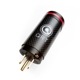 NORDOST - QSINE1ġAC ϥ󥵡JPաڥ᡼ľʡԲġˡǼϳǧ头Ϣ