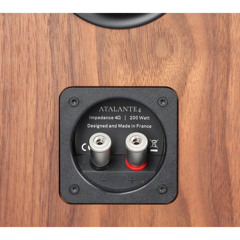 REVIVAL AUDIO - ATALANTE4/������ʥåȡʥڥ��˥ե���������ǥ��󥰥��ԡ�������JP�աڥ᡼����ľ���ʡ�����Բġˡ�Ǽ���ϳ�ǧ�头Ϣ����