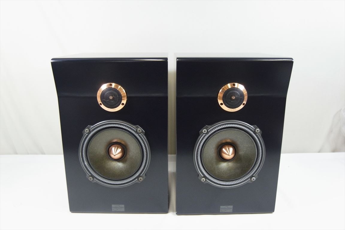 スピーカー　REQST PRO DSW-T1 ペア　レクストプロ REQST - DSW-T1（ペア）《JP-u》 | | オーディオ