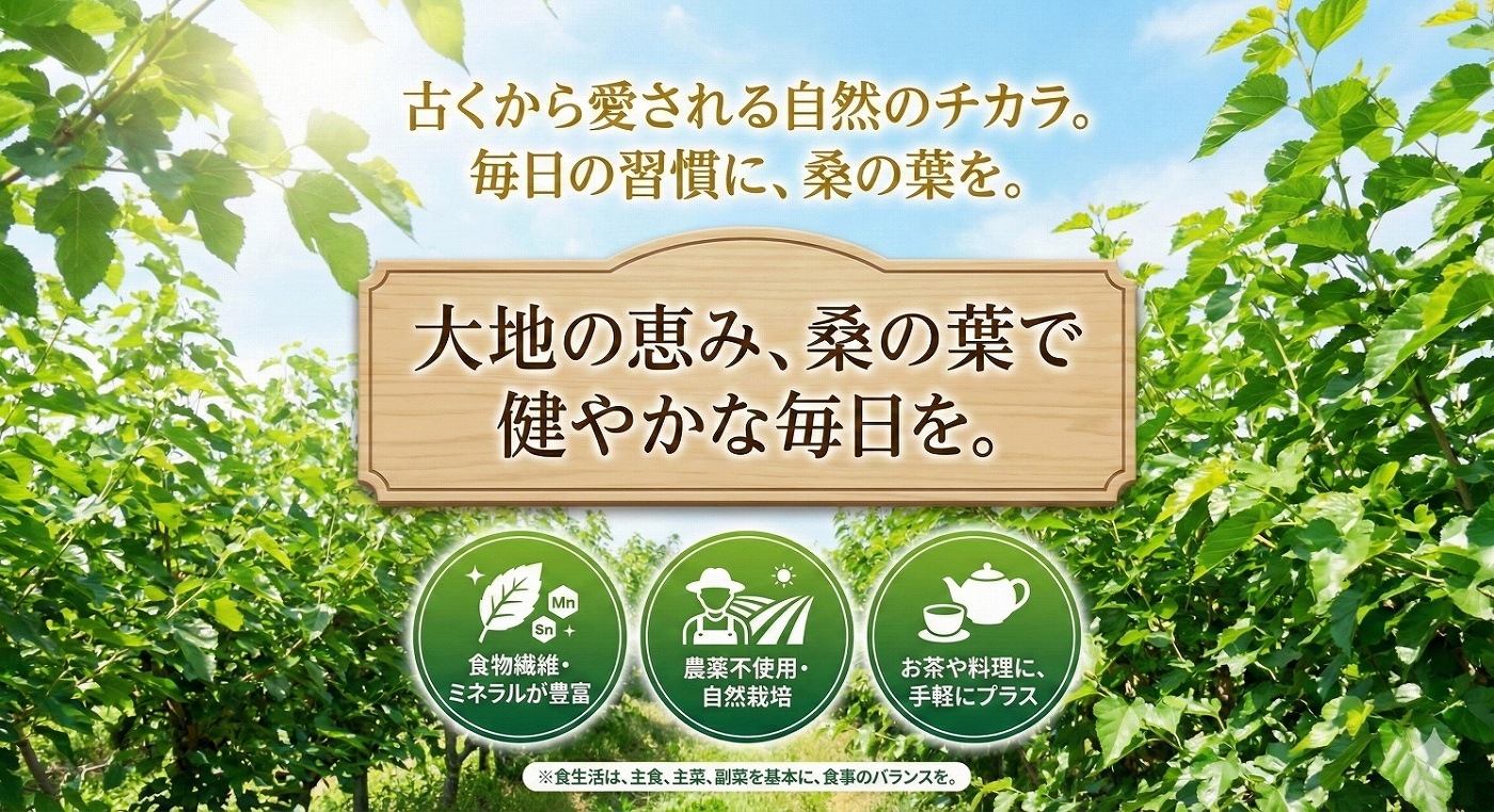 【2026年新発売 当店オリジナル国内製造正規品】グルコリセット 2袋セット 240粒 60～120日分 宮崎県産 発酵黒菊芋 菊芋 サプリ イヌリン 70000mg 高配合 サラシア 桑の葉 サトウキビ 食物繊維 国産 240粒 錠剤 健康 美容 サプリメント 【GMP認定工場製造】