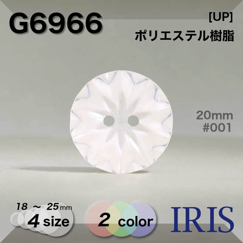 �ݥꥨ���ƥ������ ɽ��2�ķ�ܥ��� G6966 25/23/20/18mm #001/09 