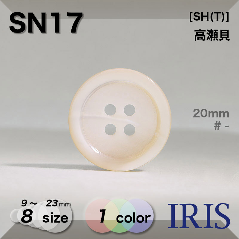 アクセサリー B.s.k AWNL メンズ 銀曜石 ネックレス｜セラフの翼 ペンダント トップ