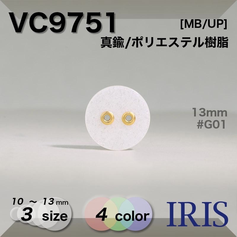 ���/�ݥꥨ���ƥ������ ɽ��2�ķ�ܥ��� VC9751 13/11.5/10mm #G00/G01/N00/N01 