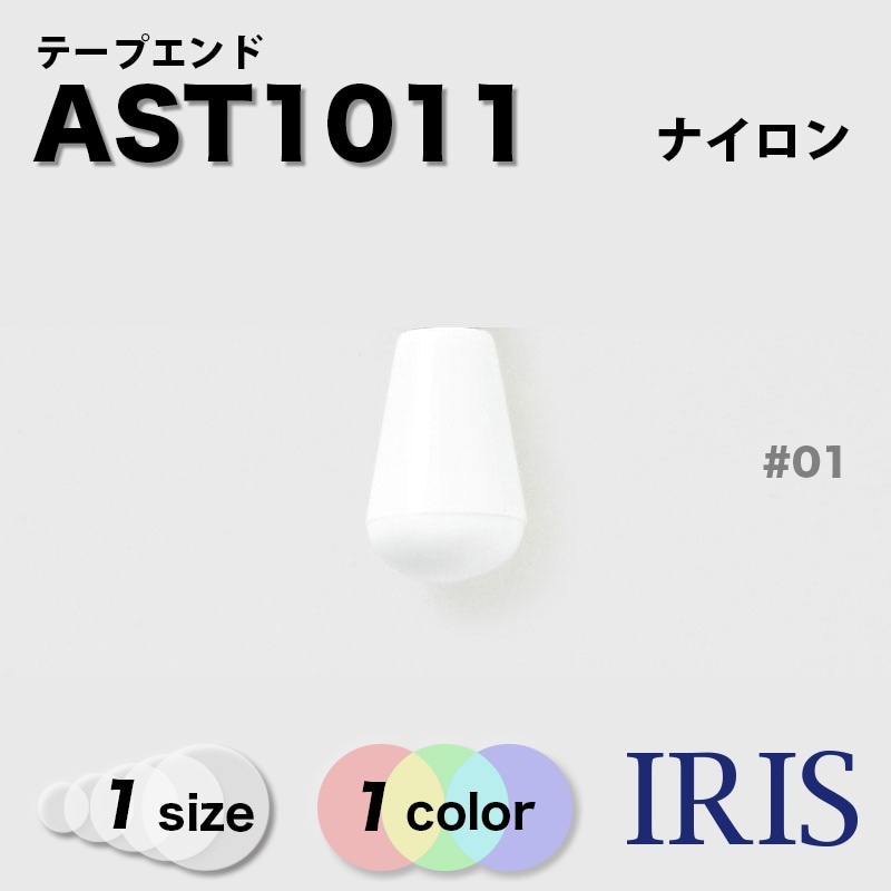 롼ץ AST1011