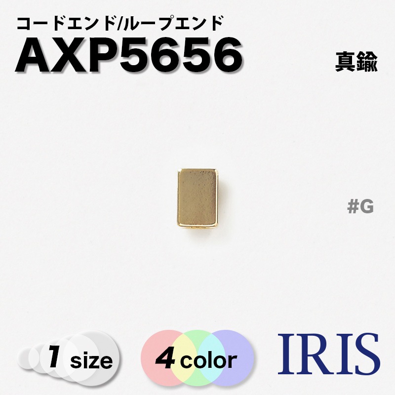 �롼�ץ���� AXP5656