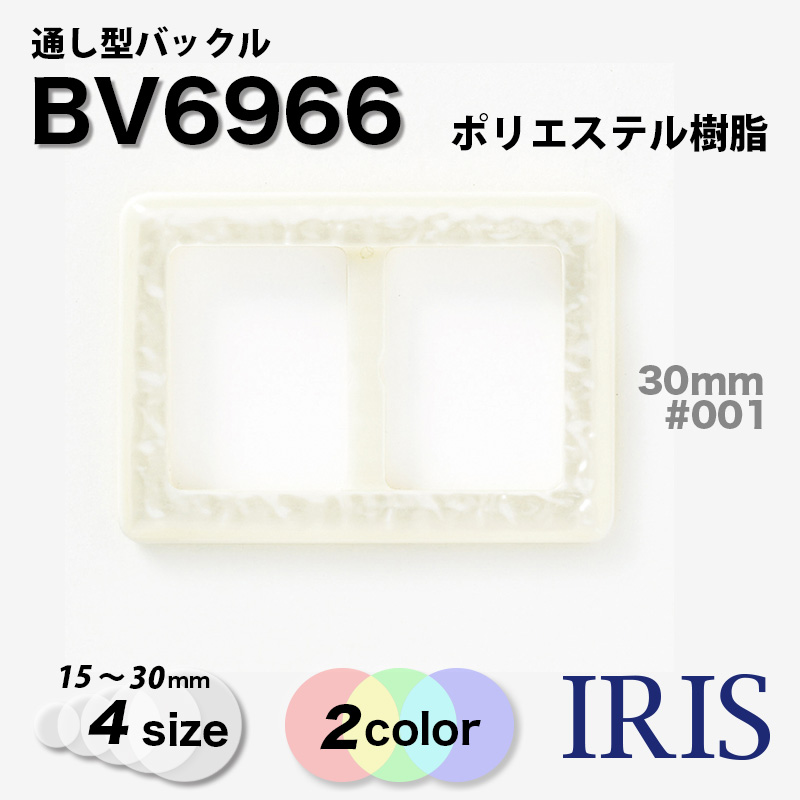 �̤����Хå��� BV6966