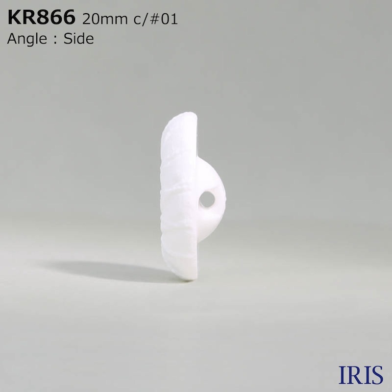 * ȥͥ­ܥ KR866 30/23/20/18mm #01/09 