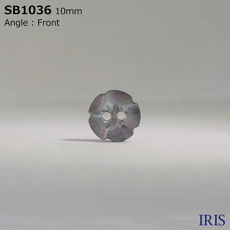 ��ĳ���� ɽ��2�ķ�ܥ��� SB1036 10mm #_����ĳ��