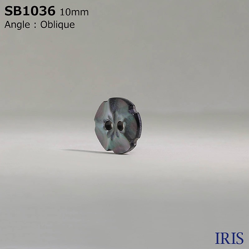 ��ĳ���� ɽ��2�ķ�ܥ��� SB1036 10mm #_����ĳ��