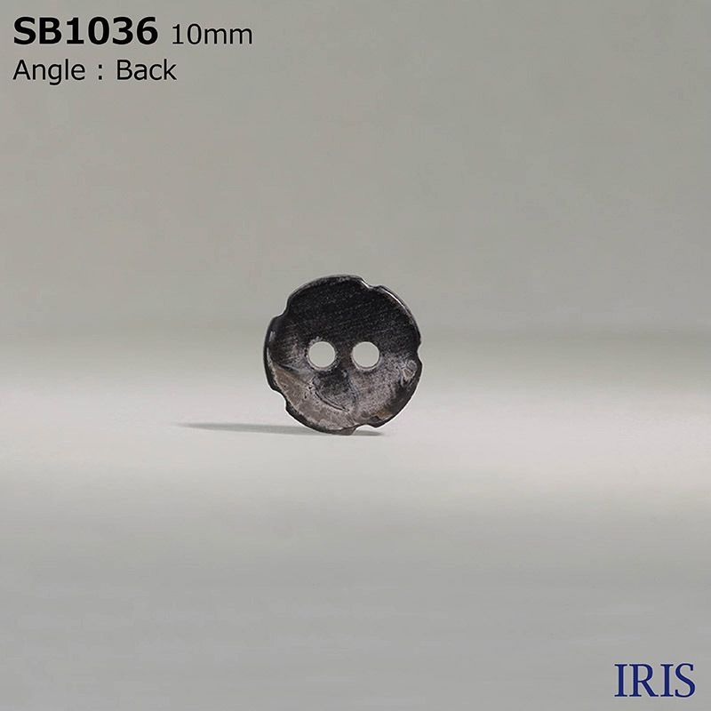 ��ĳ���� ɽ��2�ķ�ܥ��� SB1036 10mm #_����ĳ��