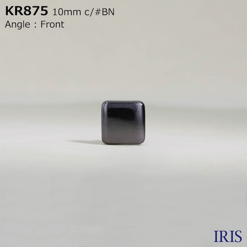 *ABS ­ܥ KR875 10mm #AG/BN/N 