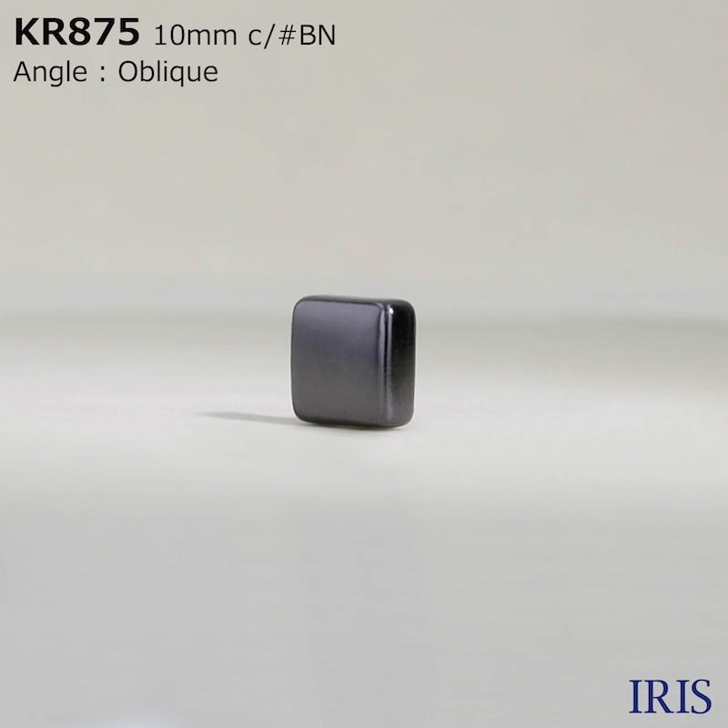 *ABS ­ܥ KR875 10mm #AG/BN/N 