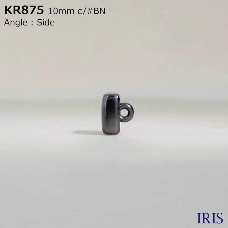 *ABS ­ܥ KR875 10mm #AG/BN/N 