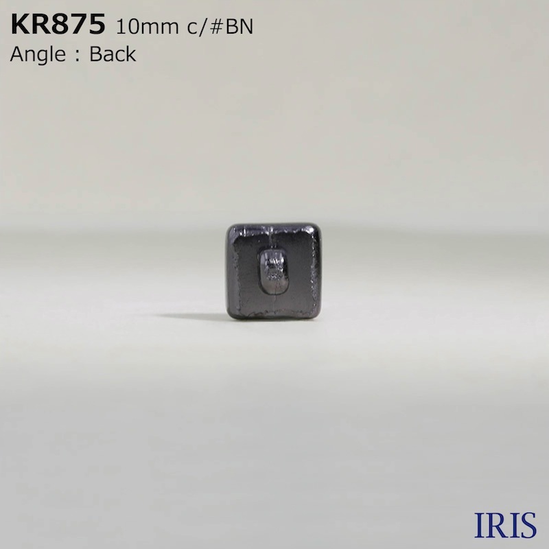 *ABS ­ܥ KR875 10mm #AG/BN/N 