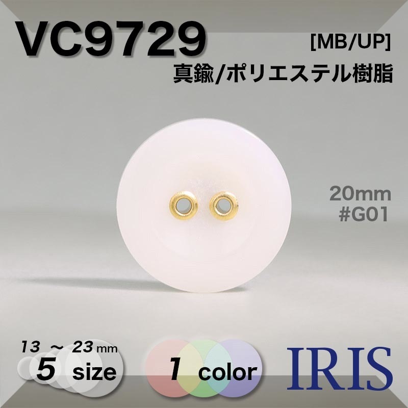 ���/�ݥꥨ���ƥ������ ɽ��2�ķ�ܥ��� VC9729 23/20/18/15/13mm #G01 