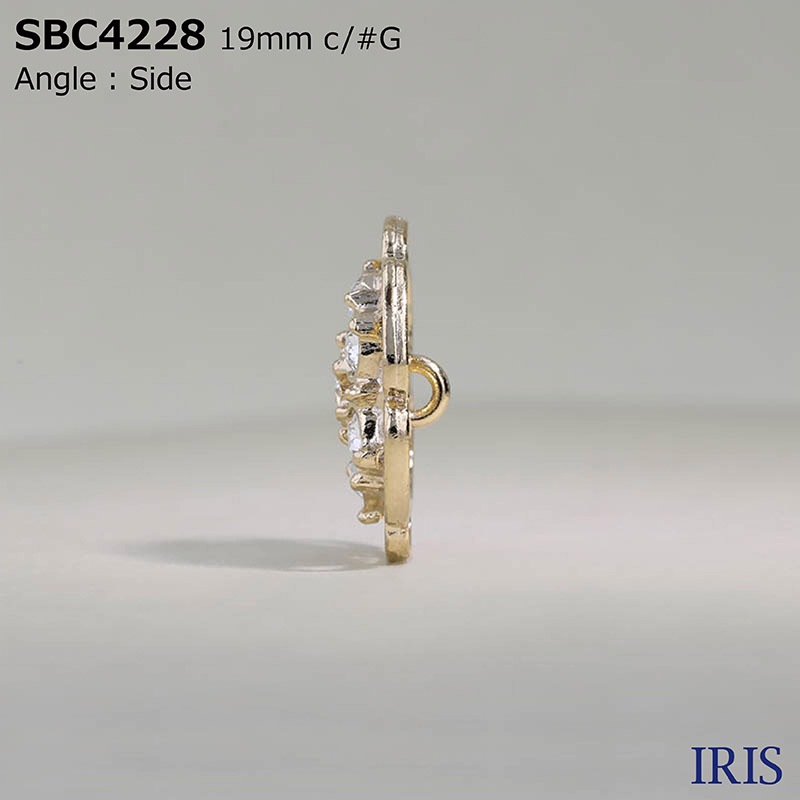 *���饹/�ϥ��᥿���� Ⱦ�ݥ���­�ܥ��� SBC4228 22/19mm #BN/G/N 