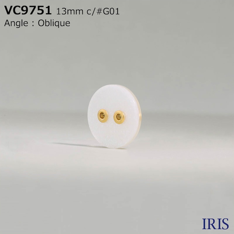 ���/�ݥꥨ���ƥ������ ɽ��2�ķ�ܥ��� VC9751 13/11.5/10mm #G00/G01/N00/N01 