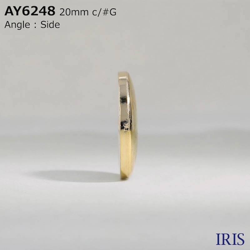 *ݥ/ABS ɽ2ķܥ AY6248 25/23/20/18/15/13/11.5mm #BN/G/N