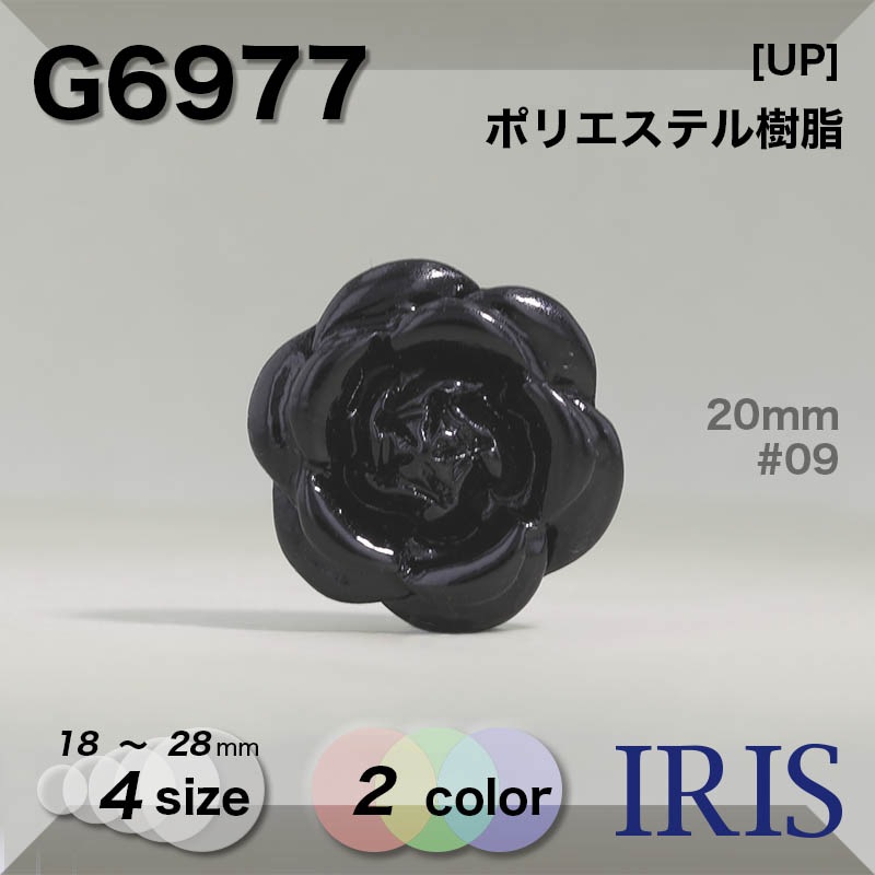 ݥꥨƥ ȥͥ­ܥ G6977 28/23/20/18mm #01/09 