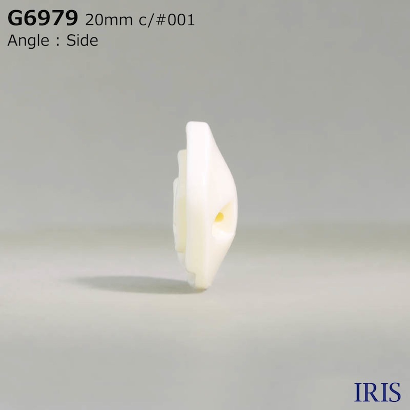 ݥꥨƥ ȥͥ­ܥ G6979 28/25/20/18mm #001/09 