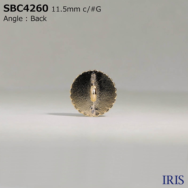 *���饹/������������ Ⱦ�ݥ���­�ܥ��� SBC4260 11.5mm #BN/G/N 