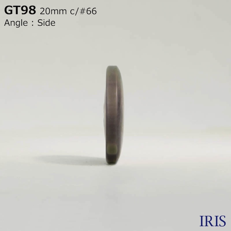 ݥꥨƥ ɽ4ķܥ GT98 20/15mm #66 