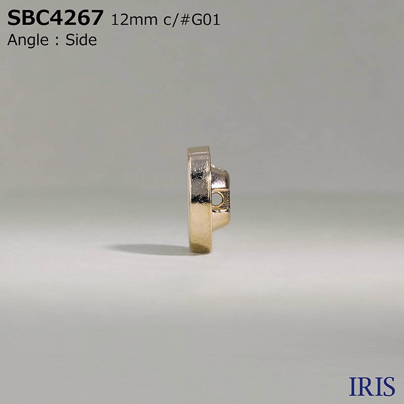 *���ݥ�������/������������ �ȥ�ͥ�­�ܥ��� SBC4267 12/10/8mm #B01/G01/N01 