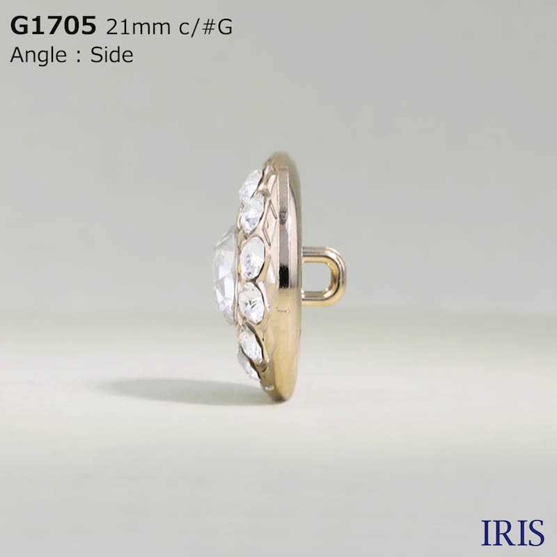 *���饹/ABS������ ��­�ܥ��� G1705 21/18/15/13mm #G/N 