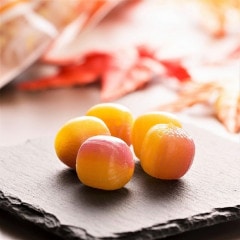 ڵྮС۽ΥȥݥƥȰʽ