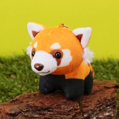 ŷưʪ४ꥸʥ ޥåȥ åѥ