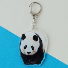 �ڲ���ưʪ�४�ꥸ�ʥ�ۥ�����륭���ۥ���� ���󥿥�/�Τ��Τ�