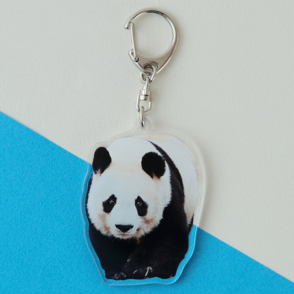 王子動物園オリジナル】アクリルキーホルダー タンタン/のしのし