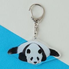 �ڲ���ưʪ�४�ꥸ�ʥ�ۥ�����륭���ۥ���� ���󥿥�/���ȥ�å�