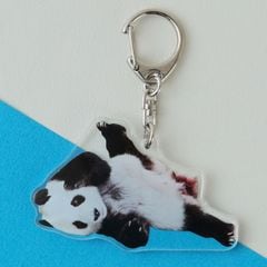 �ڲ���ưʪ�४�ꥸ�ʥ�ۥ�����륭���ۥ���� ���󥿥�/��������