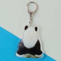 �ڲ���ưʪ�४�ꥸ�ʥ�ۥ�����륭���ۥ���� ���󥿥�/����