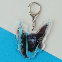 �ڲ���ưʪ�४�ꥸ�ʥ�ۥ�����륭���ۥ���� �ܥ�ͥ�����󥦡�����