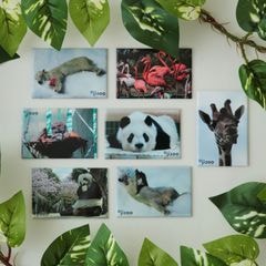 �ڲ���ưʪ�४�ꥸ�ʥ�۳ѥޥ��ͥå�