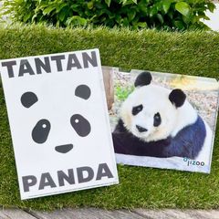 王子動物園 タンタン ブランケット タンタングッズ