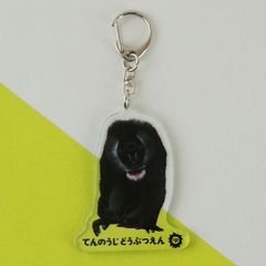 ��ŷ����ưʪ��110��ǯ�ۼ¼̥�����륭���ۥ�������ɥ��Υɥ�����