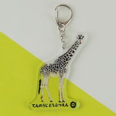 ��ŷ����ưʪ��110��ǯ�ۼ¼̥�����륭���ۥ�����������Υϥ륫��