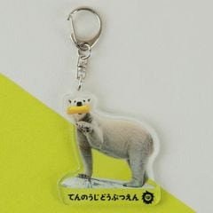 ��ŷ����ưʪ��110��ǯ�ۼ¼̥�����륭���ۥ�������ۥå��祯���ޤΥۥ������