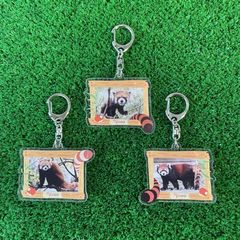 �ڲ���ưʪ�४�ꥸ�ʥ�� ��å����ѥ��BD�����ۥ����