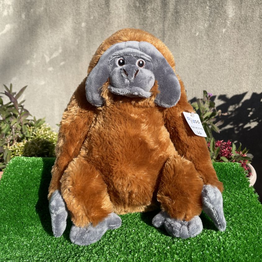 王子動物園オリジナル】オランウータンのぬいぐるみ