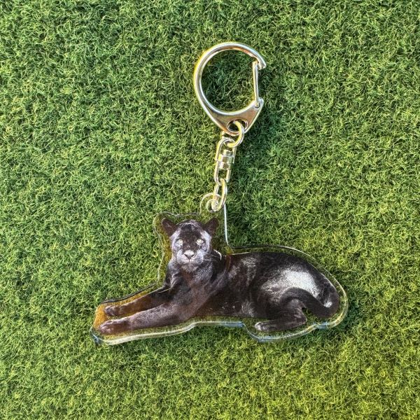 天王寺動物園オリジナル】実写アクリルキーホルダー ジャガー