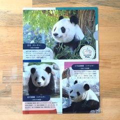 神戸動物園　パンダ　ぬいぐるみ　笛入り 神戸王子動物園 通販 - 近鉄 いろどりモール【公式】