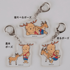 ��GOTO-CHI���ɡۤ���Ȥ��󥢥���륭���ۥ����