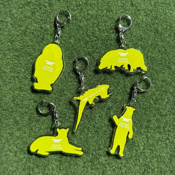 ��ŷ����ưʪ�४�ꥸ�ʥ�ۼ¼̥�����륭���ۥ�������ۥå��祯����