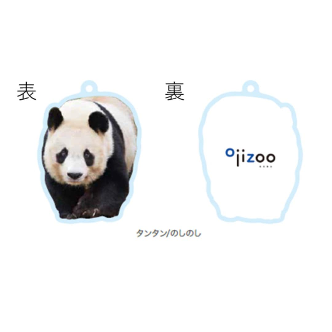 �ڲ���ưʪ�४�ꥸ�ʥ�ۥ�����륭���ۥ���� ���󥿥�/�Τ��Τ�