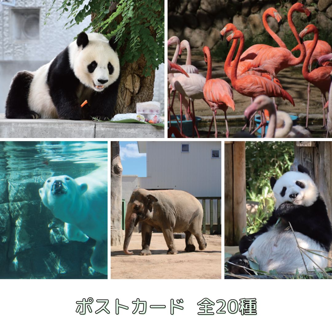 �ڲ���ưʪ�४�ꥸ�ʥ�ۥݥ��ȥ�����